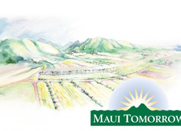 Maui Tomorrow