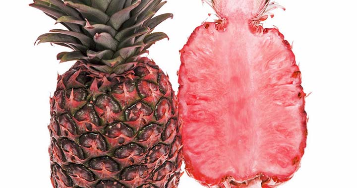 Pink pineapples on sale