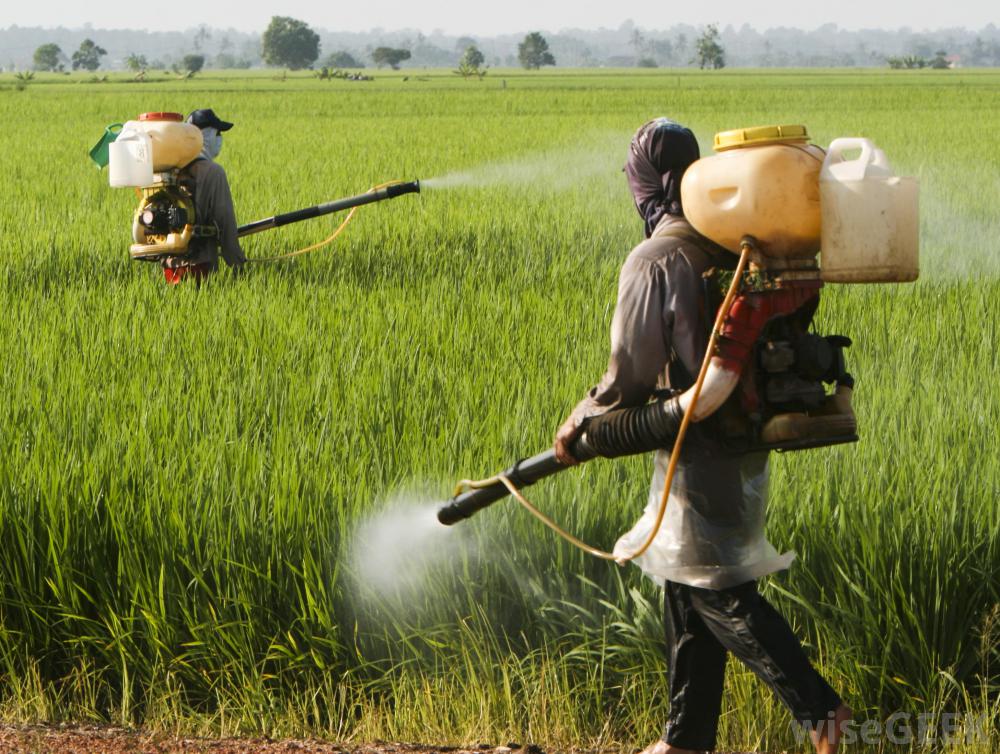 New Pesticides Launched In India 2024 - Inge Desiree